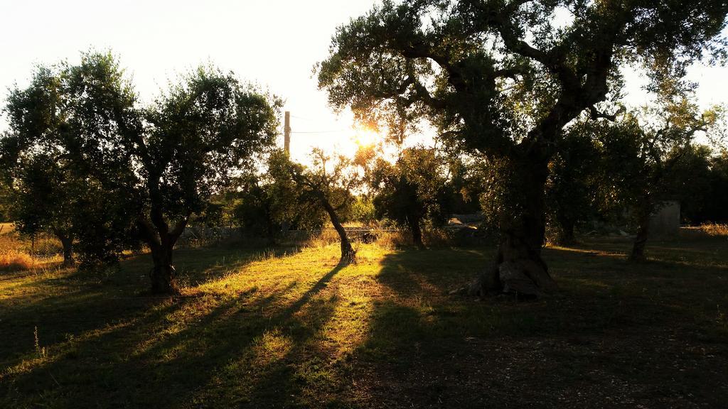 Antica Masseria Scagnito Villa Corigliano dʼOtranto Eksteriør billede